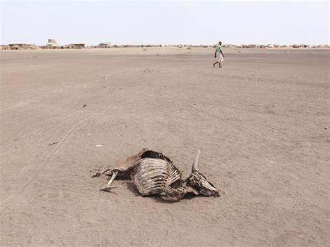 Ethiopia Drought Millions Of People Urgently In Need Of Food Aid After