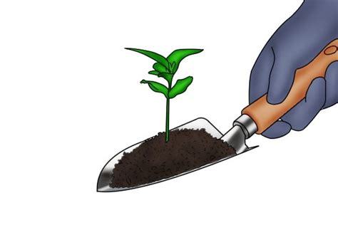 A garden trowel as you know serves the purpose of digging and and deuce trowel is an example. What is a garden trowel used for? - Wonkee Donkee Tools