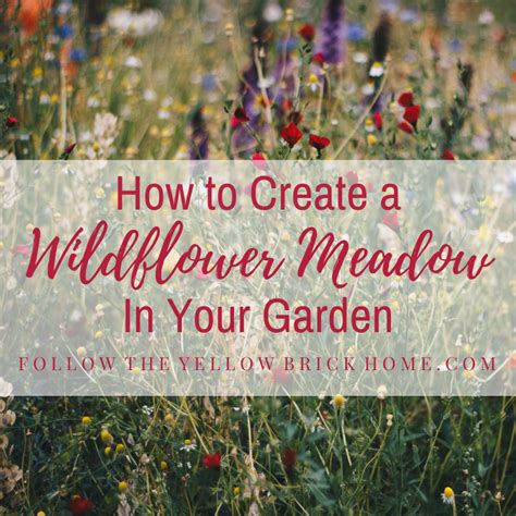 Follow The Yellow Brick Home How To Create A Wildflower Meadow In