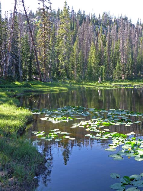 Lily Lake Notch Mountain Trail Uinta Mountains Utah