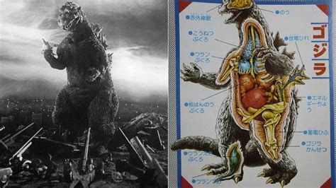 Godzilla Dissected For Your Viewing Pleasure
