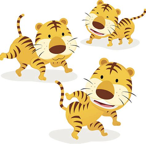 Royalty Free Tiger Running Clip Art Vector Images And Illustrations Istock