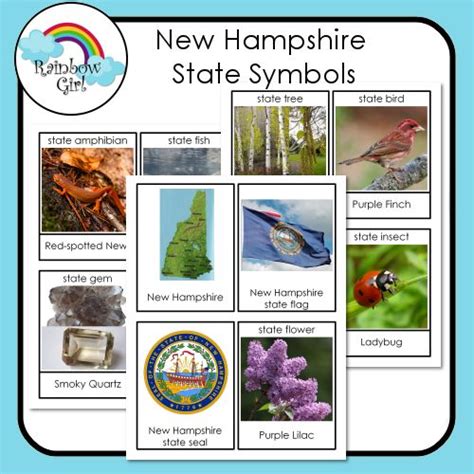 New Hampshire State Symbols State Symbols Symbols New Hampshire
