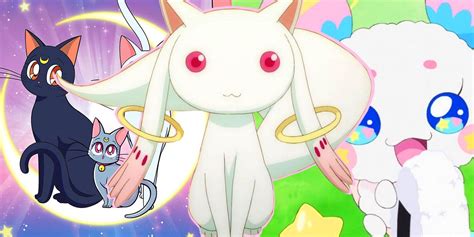 Why Magical Girls In Anime And Manga Have Mascots