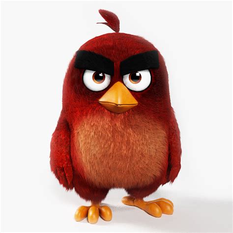 Angry Bird Red 3d Asset Cgtrader