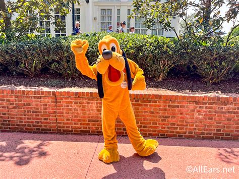 Best Sandals for Disney World - AllEars.Net