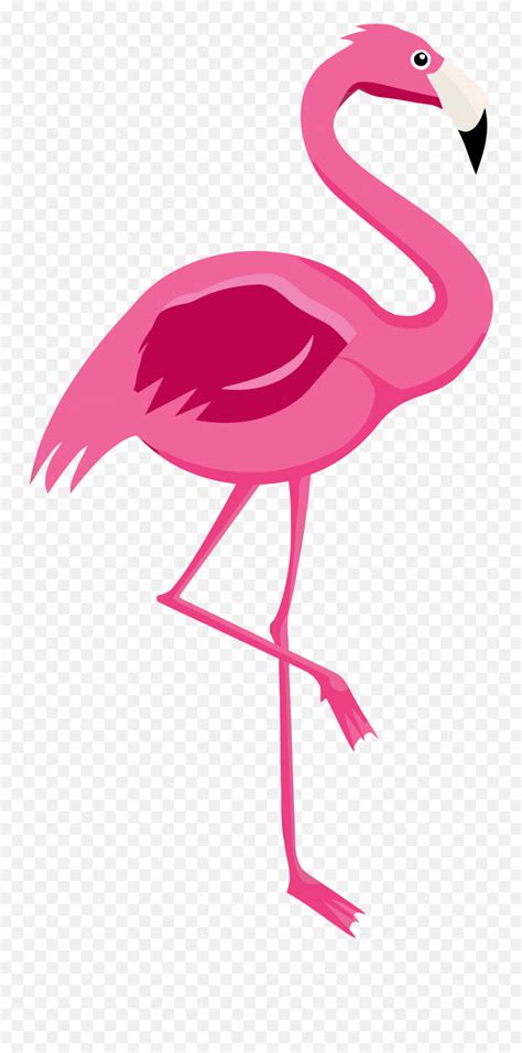 Flamingo Clipart Png Clip Art Printable Flamingoflamingo Clipart Png