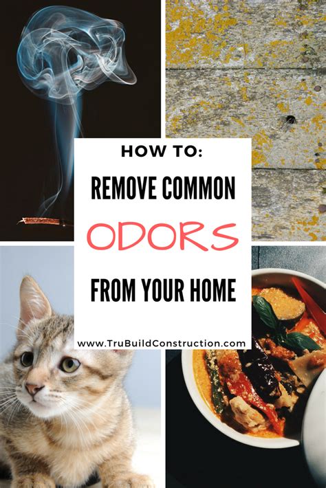 How To Remove Common Odors From Your Home — Trubuild Construction