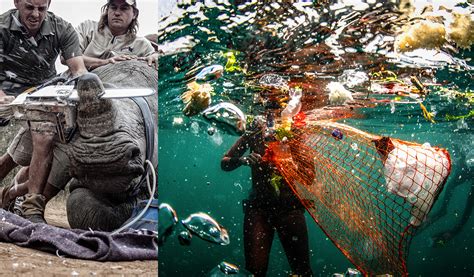2019 Environmental Photographer Of The Year Winners Capture The Raw