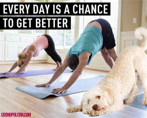10 Fit Spirational Animals To Help You Kill It At The Gym In 2015