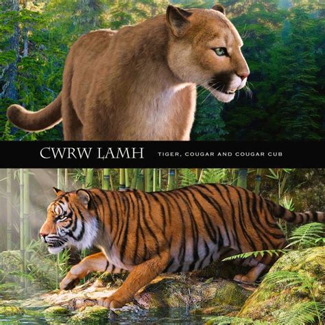 Cwrw Lamh Tiger And Cougar Presets 2024 Free Daz 3d Models