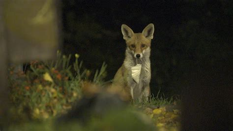 Sudden Silence - Trailer - YouTube