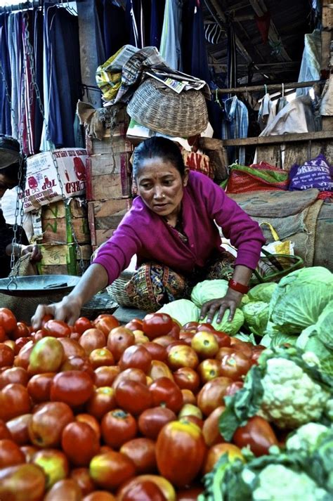 Stock market crashes symbolize times of wealth destruction and pain to investors. Going from Tibet to India | Bengale occidental, Bengale ...