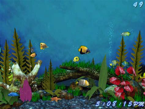 Animasi  Aquarium Terlengkap Dan Terupdate Top Animasi