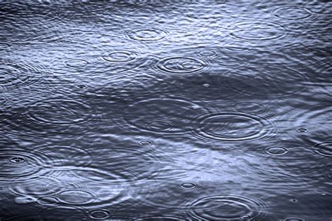 Rain Water Waves Raindrops Free Stock Photo Public Domain Pictures