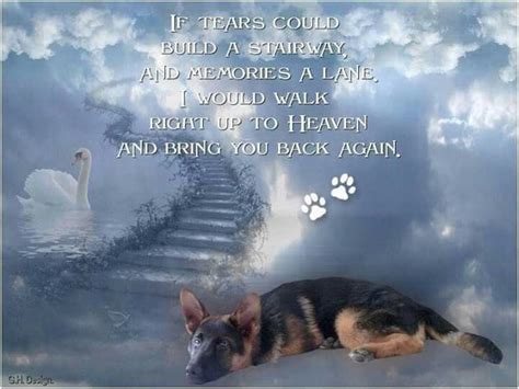 If Tears Could Build A Stairway Pet Loss Quotes Dog Quotes Pet Loss