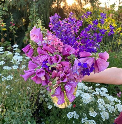 We did not find results for: Pin on Cut flowers