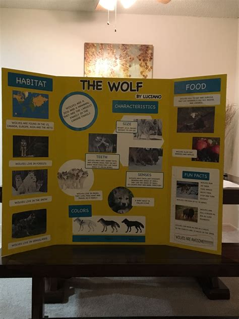 Animal Wolf Report Trifold Board Poster 3rd Grade Research Poster