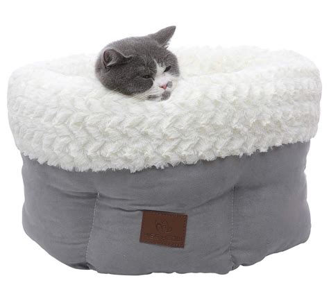 Founded in 2016, pawsome couture are a cat crazy company based in the beautiful country of. Cute Cats in 2020 | Dog pet beds, Cat bed, Cool pets