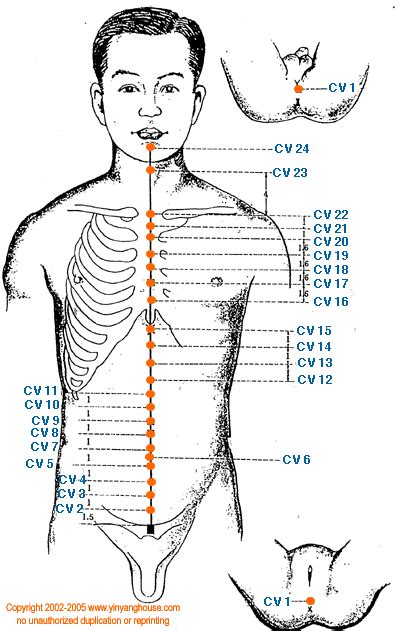 Yin Yang House Acupuncture Points On The Conception Vessel Meridian