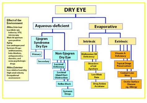 Dry Eye Classification Flow Chart Dry Eye Workshop Report 2007 19