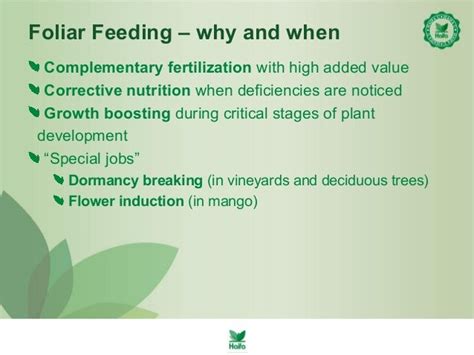 Foliar Feeding With Haifa Fertilizers