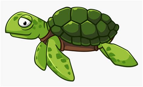 Green Cliparts Png Turtle Transparent Cartoon Sea Turtle Png