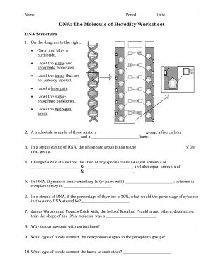 It is the basic unit of heredity that is passed from a parent to an offspring. Dnathe Molecule Heredity Worksheet - Fill Online ...