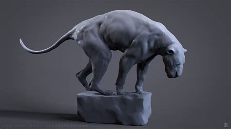 Polish your personal project or design with these cat drawing transparent png images, make it even more personalized and more attractive. Lion Skin - Pose 01, Tony Camehl | Cat anatomy, Cat ...