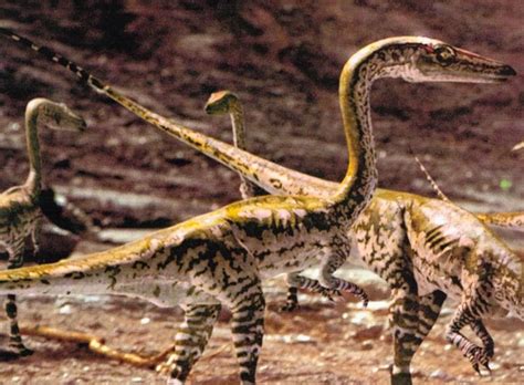 Melalui akun miliknya di twitter, iwan fals mengunggah foto bersama jokowi. Deretan Dinosaurus Paling Mematikan - Foto 4