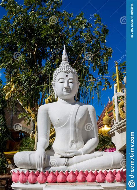 Statue Of Gautama Buddha In Thailand Wat Stock Image Image Of