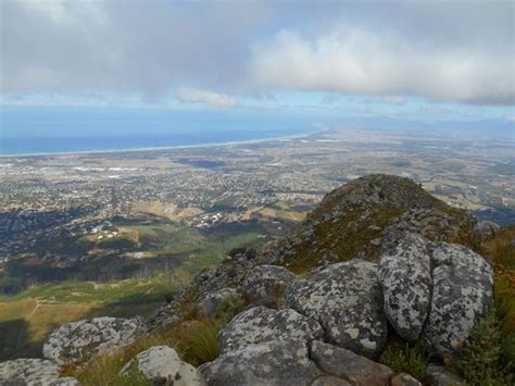 Helderberg Nature Reserve Somerset West 2021 All You Need To Know