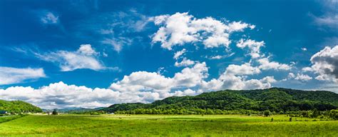 Grassland And Blue Sky Stock Photo Download Image Now Istock