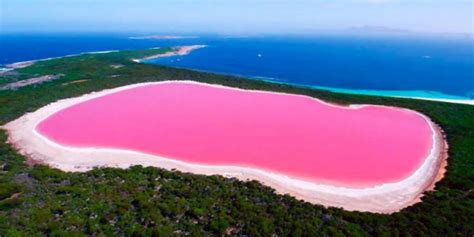 The Mysterious Pink Water Of Lake Hillier In Australia Newz