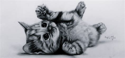 Top 15 kitten coloring pages for kids. Drawn cat cute realistic cat - Pencil and in color drawn ...
