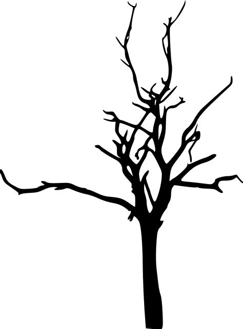Bare Tree Png Free Logo Image