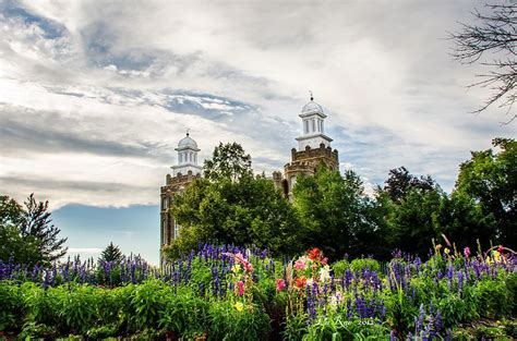 Check spelling or type a new query. Logan Temple Flowers by La Rae Roberts | Logan temple ...
