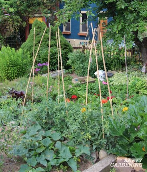 Edible Garden Design Ideas To Boost Production And Beautify Your Space