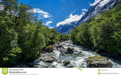 Rocky River Landscape In Rainforest New Zealand Stock Photography
