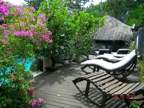 Pool And Hot Tub Picture Of Villas Sur Mer Negril Tripadvisor