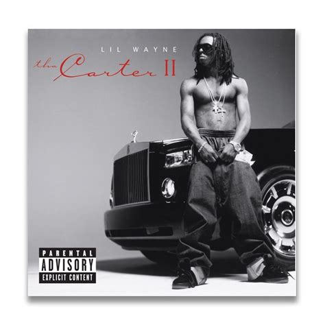 Lil Wayne The Carter Music Album Cover Canvas Poster Etsy