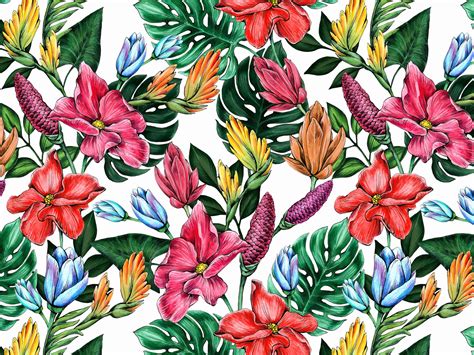 More information on this design. Seamless floral pattern of tropical flowers and leaves. by ...