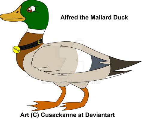 Alfred The Mallard Duck By Cusackanne On Deviantart
