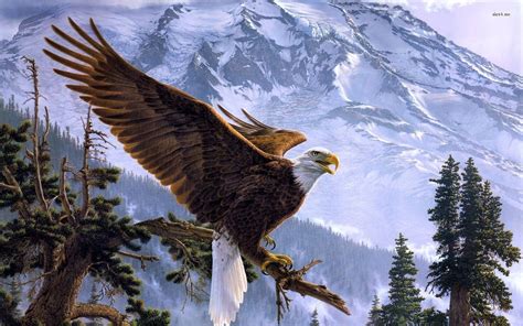 70 Eagle Hd Quality Wallpaper Pictures Myweb