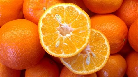 Washington Navel Orange Cultivation History Orange Varieties Youtube