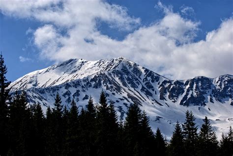 Free fotobanka krajina strom Příroda divočina hora sníh zima