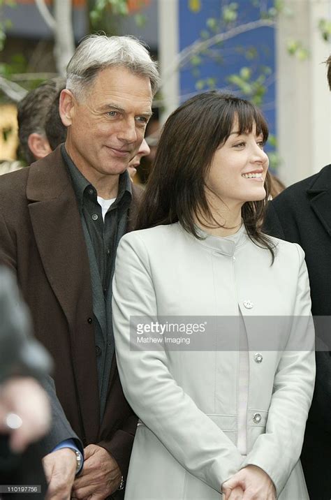 Mark Harmon And Sasha Alexander During Donald P Bellisario Honored