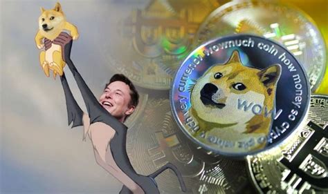 We explore how dogecoin works and the price and popularity of the global cryptocurrency that features the image of a shiba inu dog. Dogecoin price today: How much is dogecoin stock - What is ...