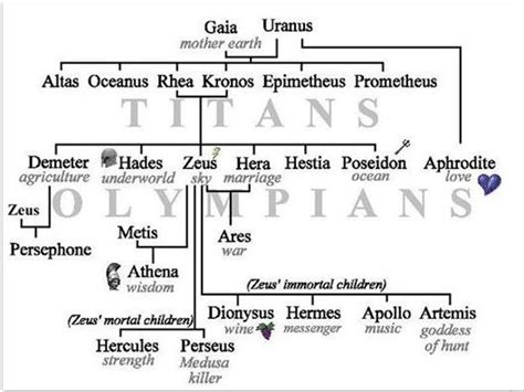 Ein dekorativer familienstammbaum eignet sich wunderbar zur darstellung deiner ganz persönlichen familiengeschichte. Griechische Mythologie Stammbaum Zeus