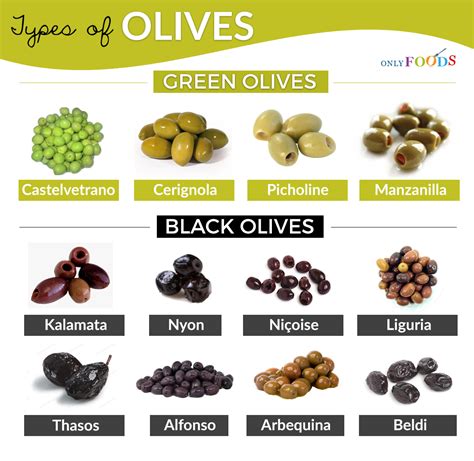 12 Different Types Of Olives With Pictures